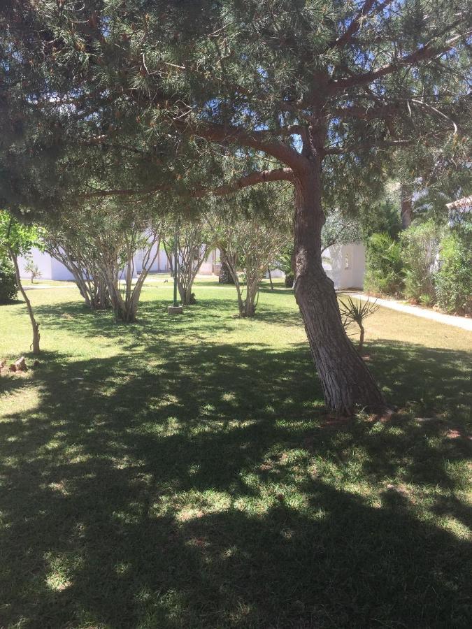 Vakantiehuis Cala Serena 1
